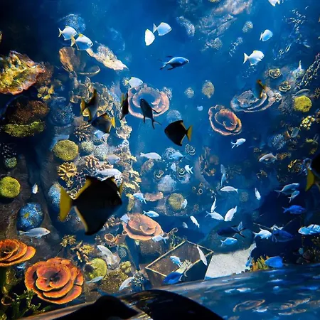 アパート Panorama-im Bademantel Direkt In Alpentherme *